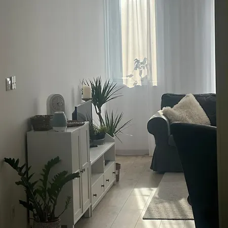 Essential Living