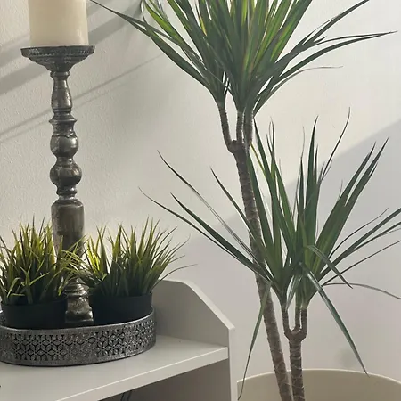 Essential Living * Michal na Ostrove