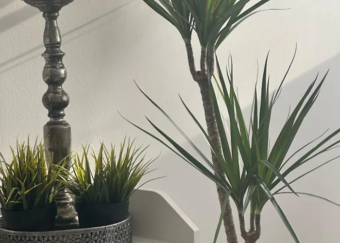 Essential Living * Michal na Ostrove